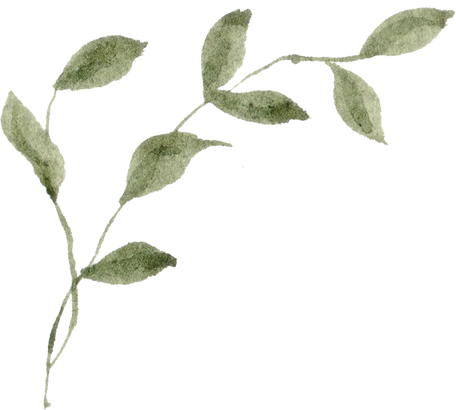 Watercolor Branch with Leaves